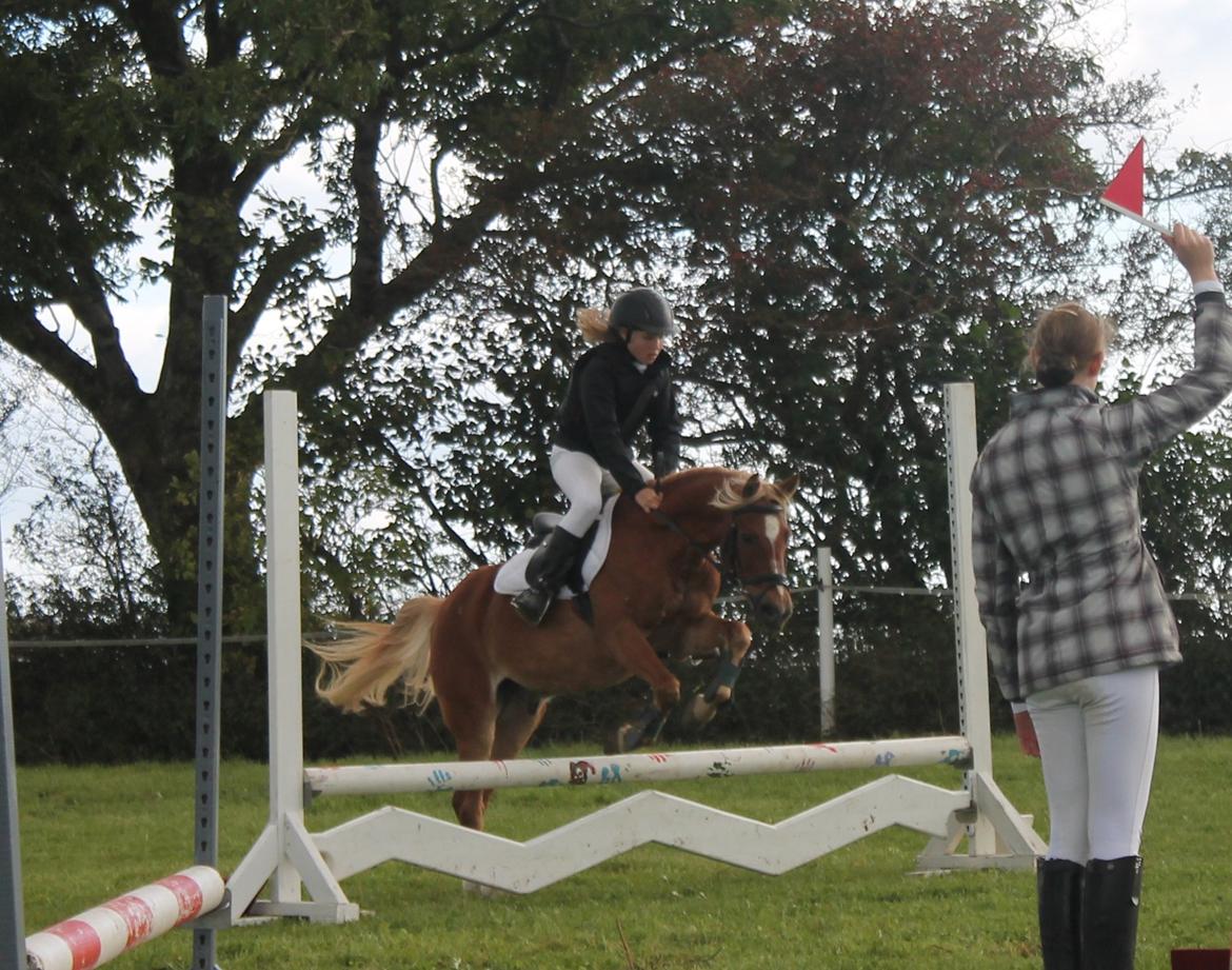 Anden særlig race Boss - Et spring vi aldrig har sprunget før :) billede 14