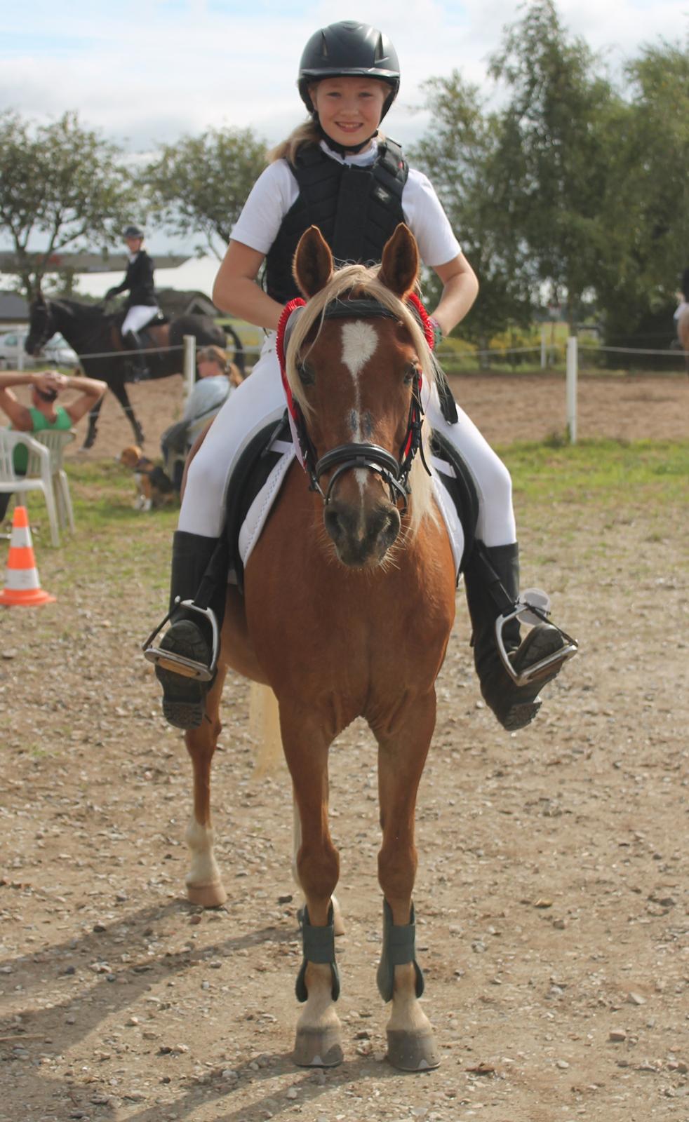 Anden særlig race Boss - 2 X 1. pladser :) billede 1