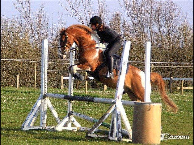 Pinto Tikana - springning! billede 12