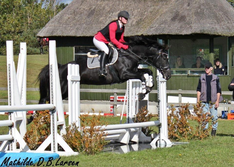 Oldenborg Shery Horsmark - Klubmesterskab billede 11