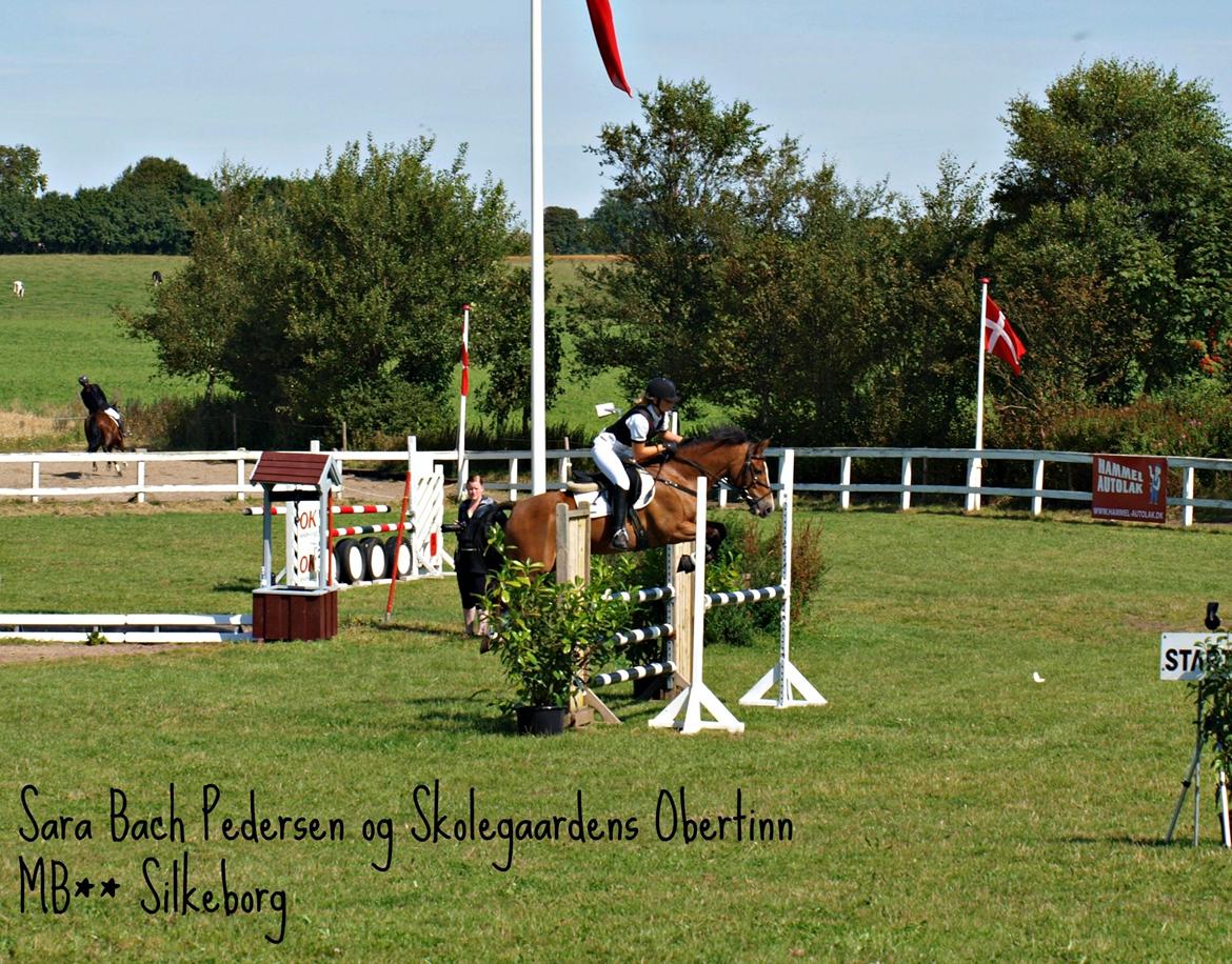 New Forest Skolegaardens Obertinn - B-pony - Stævne i Silkeborg billede 14