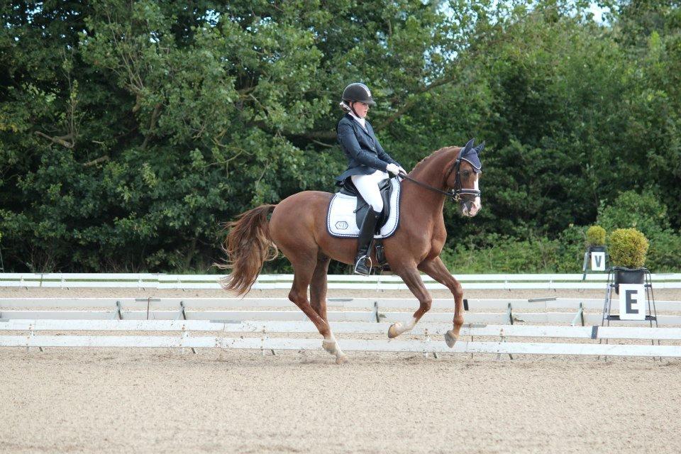 DSP Zendro A-PONY billede 11