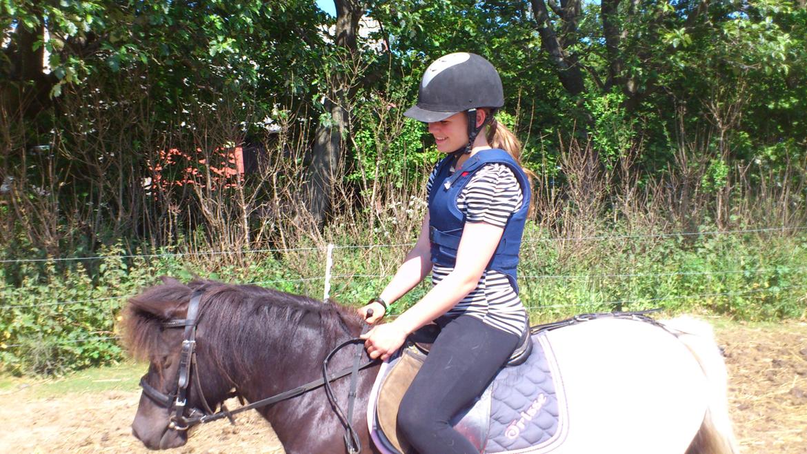 Anden særlig race Hjortagers Trisse - Hygge med Trissepigen!<3 billede 5