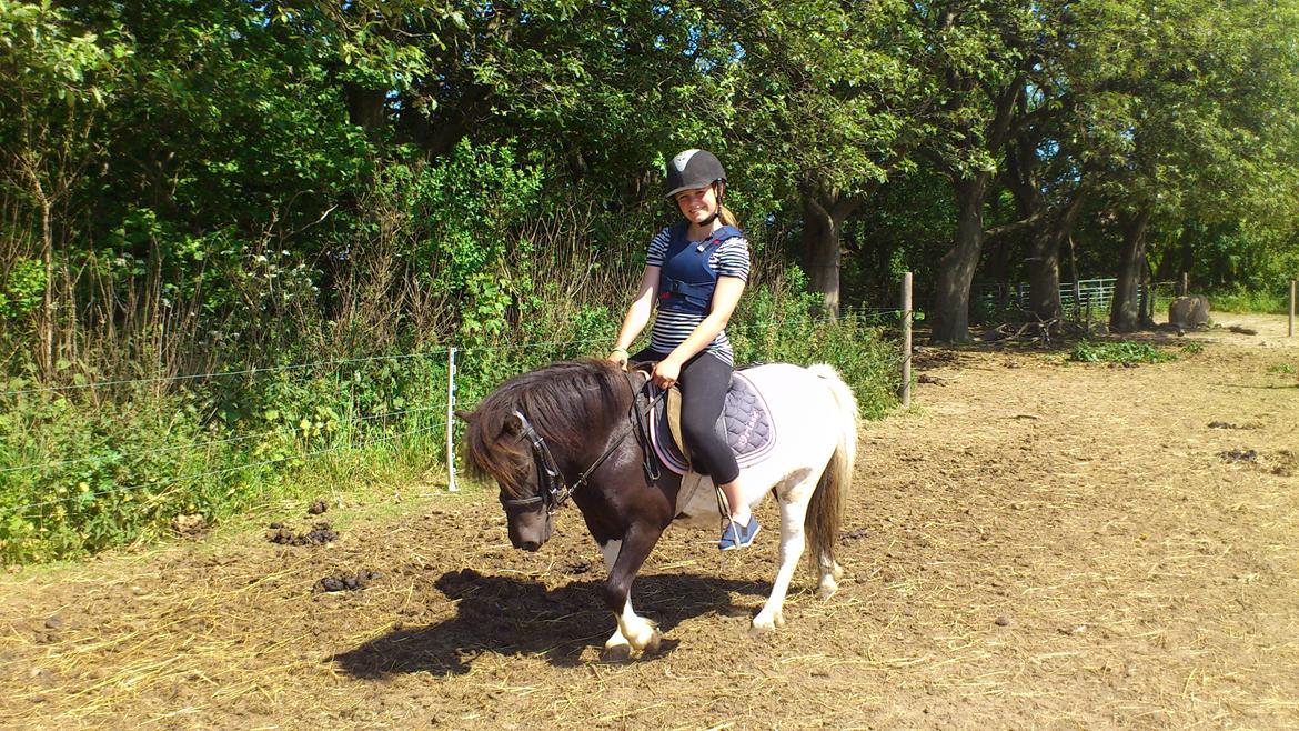 Anden særlig race Hjortagers Trisse - Hygge!<3 billede 6