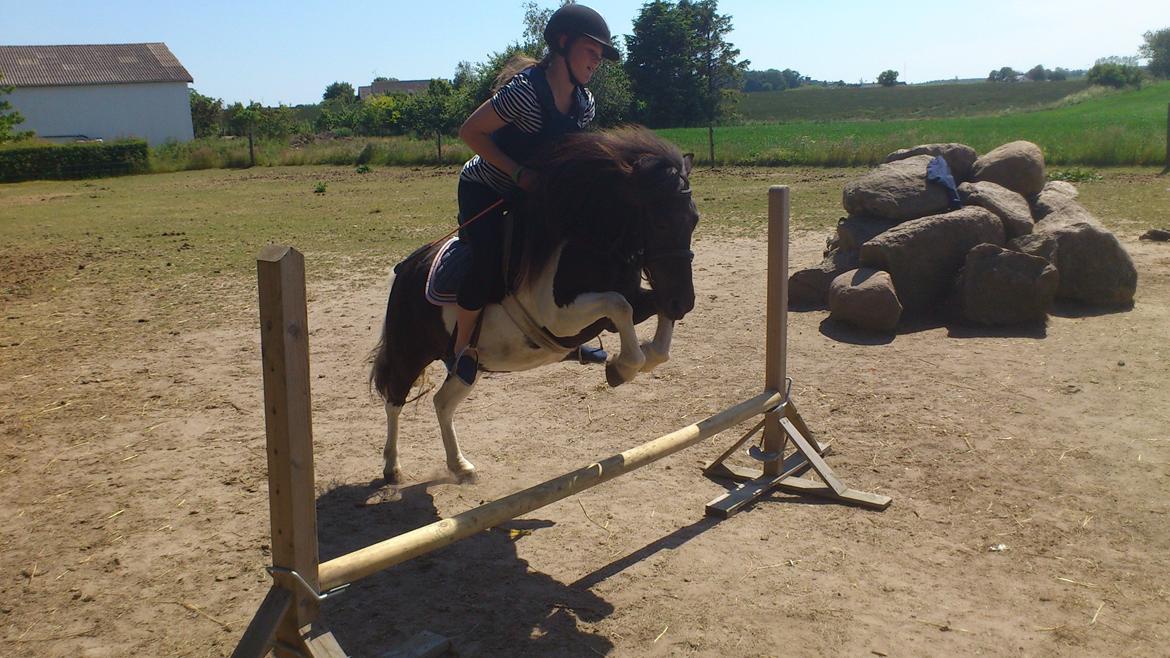 Anden særlig race Hjortagers Trisse - Trisse tænker: Endelig skal vi springe! :-P billede 8