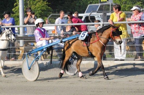 Gotlandsruss Akleia billede 12