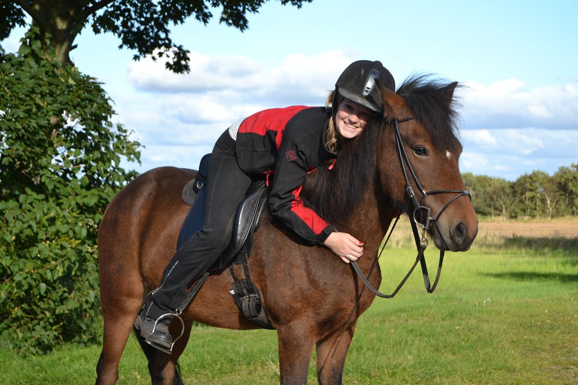 Islænder Björk fra Vester Albæk billede 3