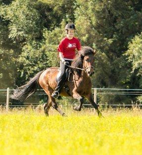 Islænder Björk fra Vester Albæk billede 4