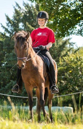 Islænder Björk fra Vester Albæk billede 5