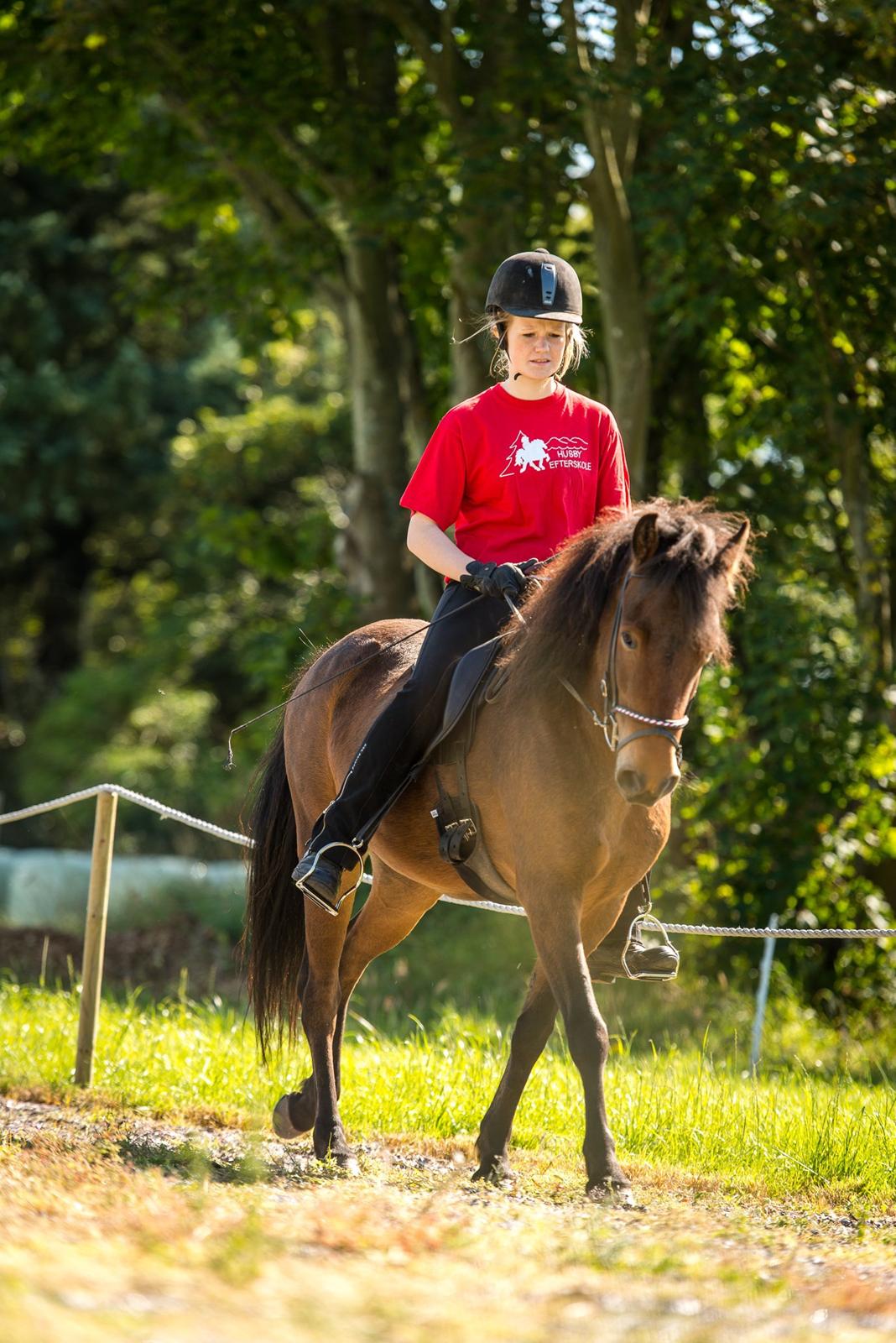 Islænder Björk fra Vester Albæk billede 6