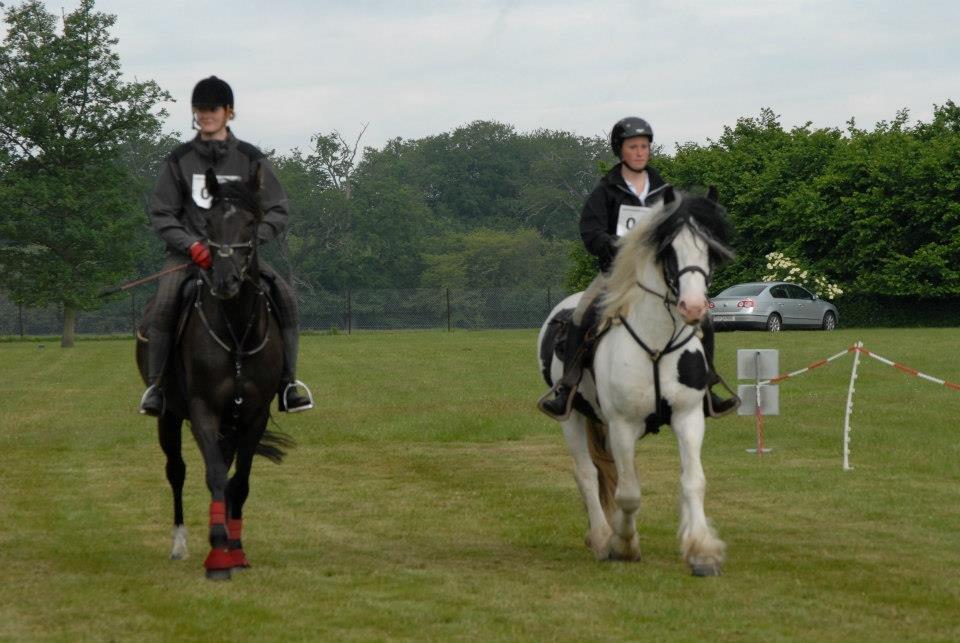 Irish Cob Blue Floridor - Hippoaden 2012, 25 km billede 13