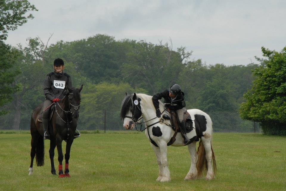 Trakehner Hamila. - hippoaden 2012, 25 km billede 18