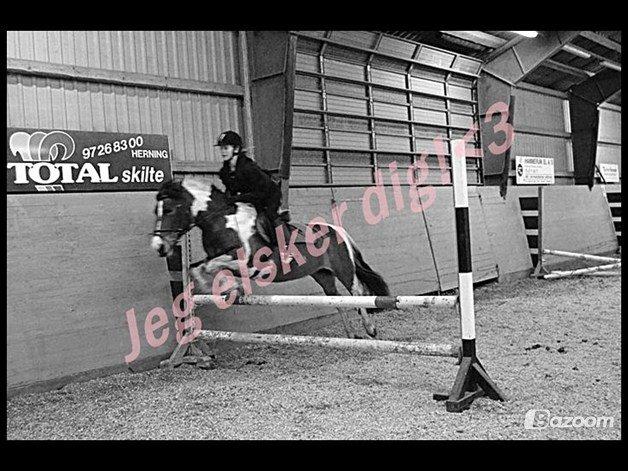 Anden særlig race Mille (Pensioneret) - Kærlighed er at give en anden magten til at ødelægge dig fuldstændig, men samtidig stole på at personen aldrig ville gøre det mod dig <3. (ikke mig der rider) billede 14