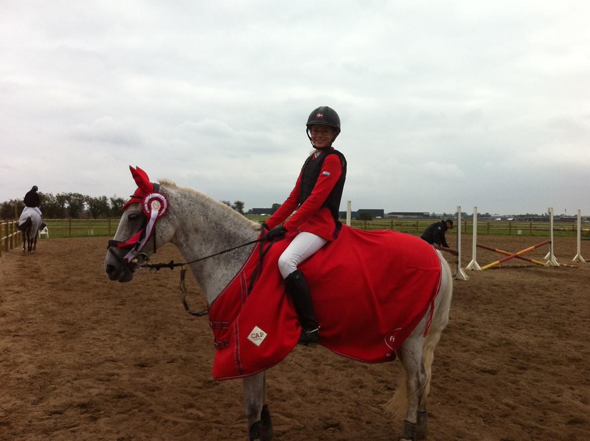 Connemara Dalestown Suzie Q - Vinder af MB** i BOR 
det var sat op til MA i omspringningen billede 16