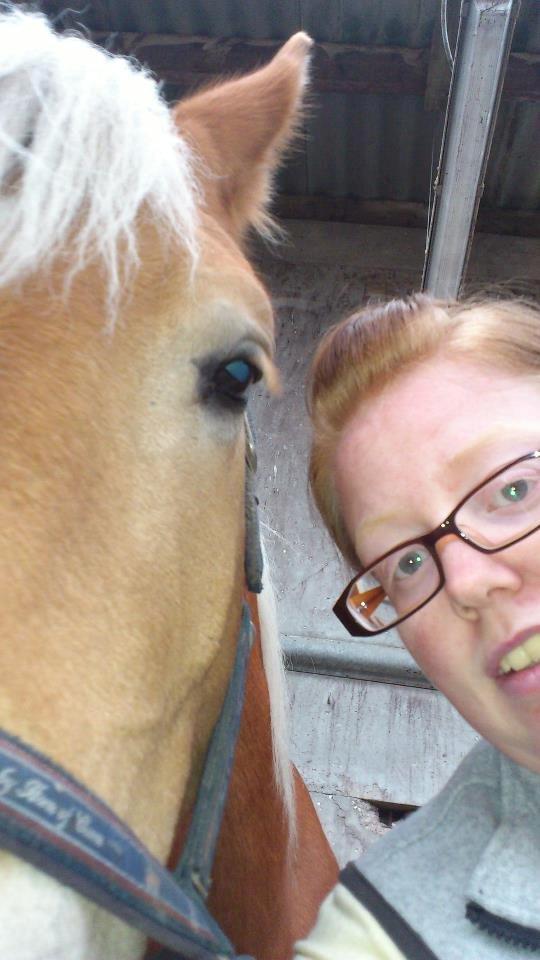 Tyroler Haflinger Wilox (låne hest) - os. billede 10