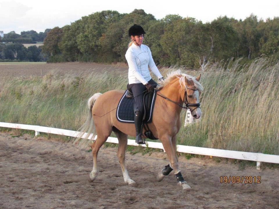 Palomino Sepstrups Diva - Rider billede 4