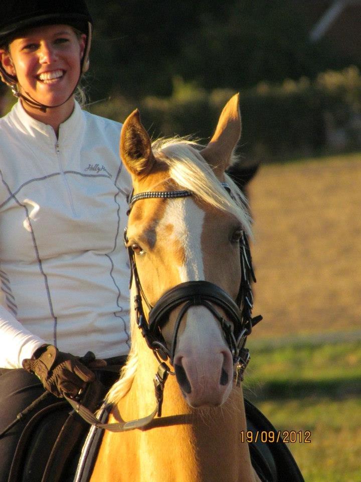 Palomino Sepstrups Diva - Rider billede 1