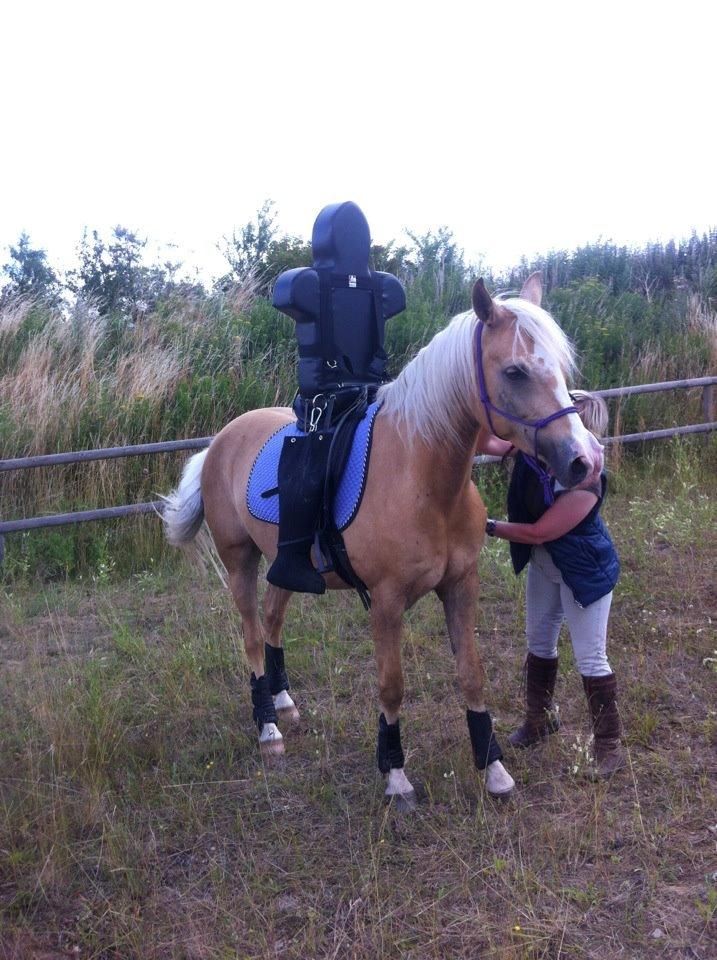Palomino Sepstrups Diva - Rider - Diva med tilridningsdukke i sommers. billede 10