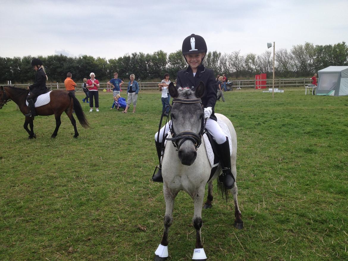 Knabstrupper Vores Tempo *Stjerne-pony* - Første stævne i BTR :) billede 14