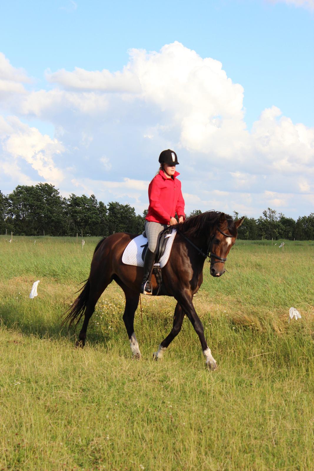 Holstener Fany Porsbøl - En smuk forårsdag :-) billede 3