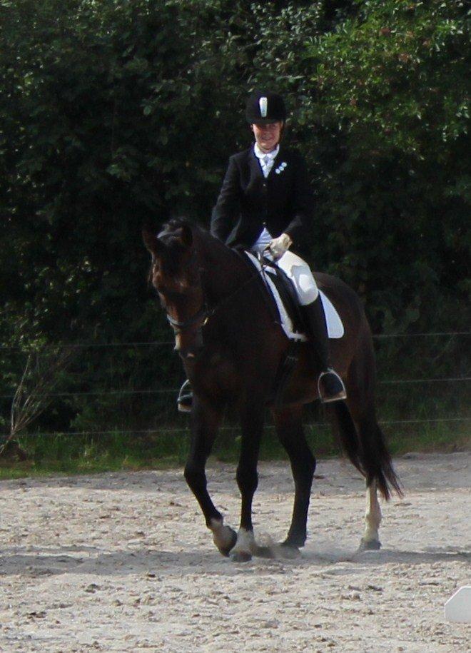 Holstener Fany Porsbøl - Vinder af 'Ottersbøl CUP'  billede 4