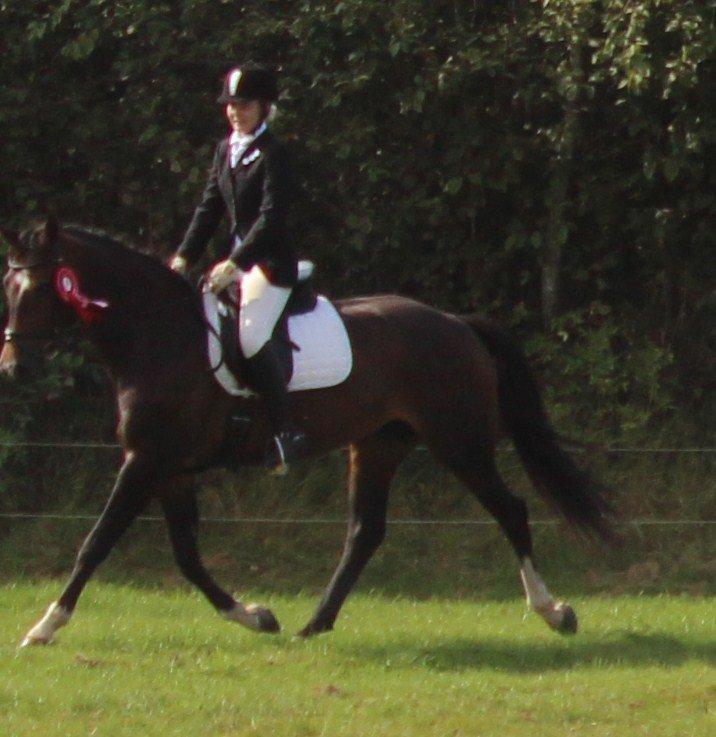 Holstener Fany Porsbøl - Vinder af 'Ottersbøl CUP'  billede 5