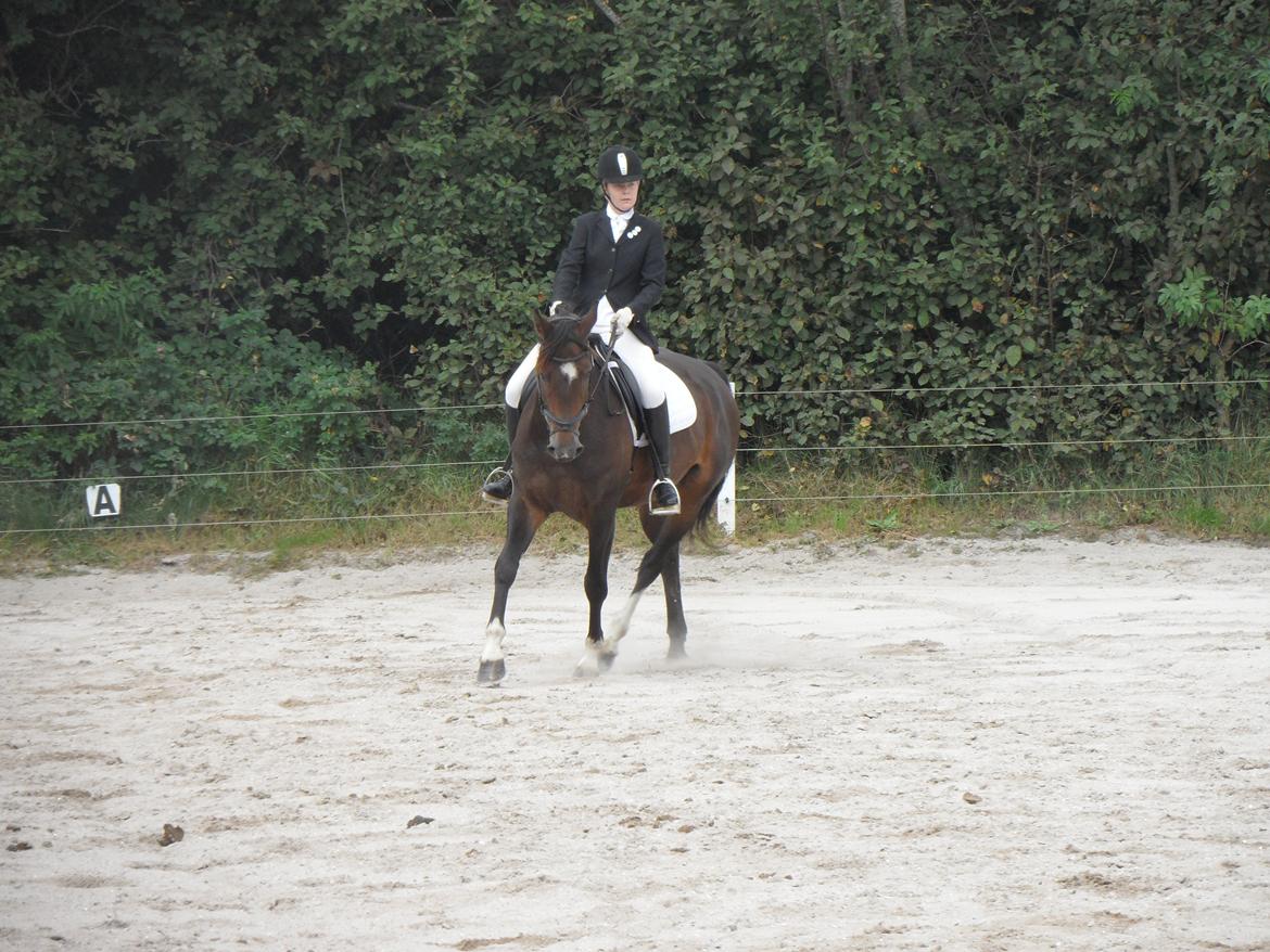 Holstener Fany Porsbøl - Vinder af 'Ottersbøl CUP'  billede 6