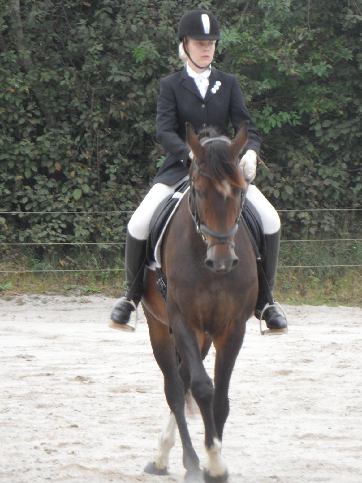 Holstener Fany Porsbøl - Vinder af 'Ottersbøl CUP'  billede 7