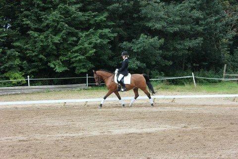 Welsh Cob (sec D) Altenahr Hovgård - D. 9/9-12 stævne i NRK ♥
Foto: Regitze H. billede 6