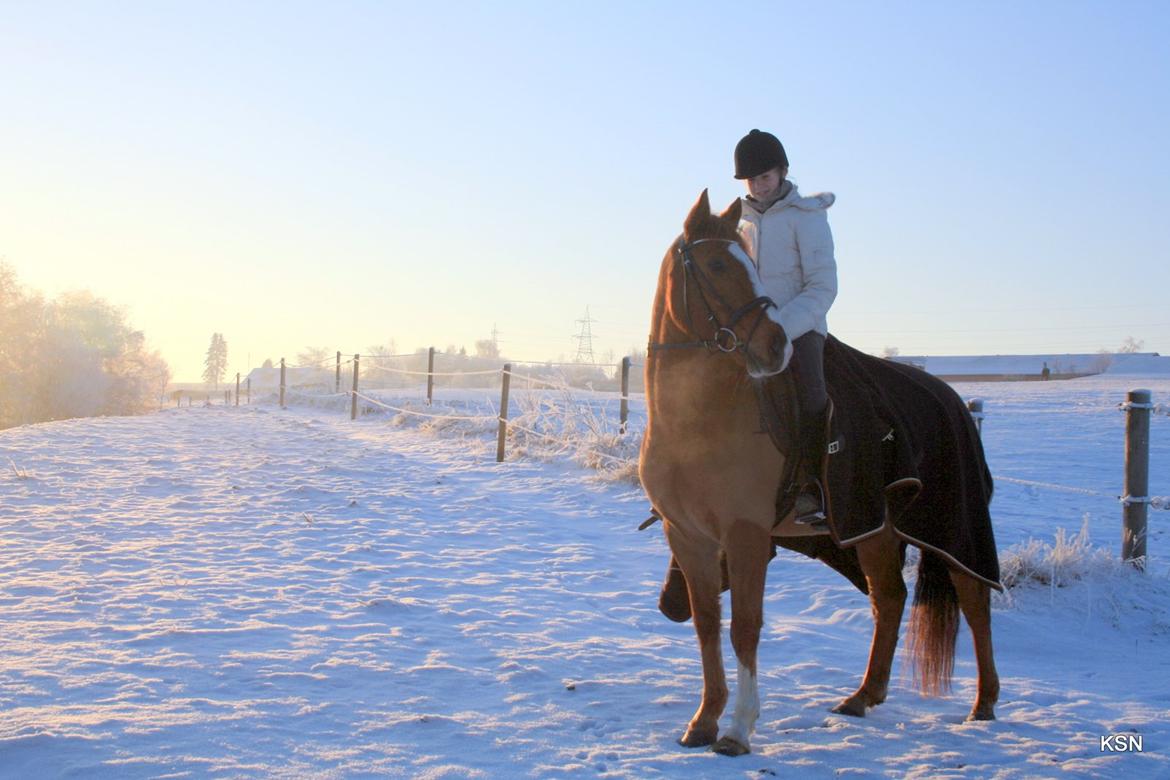 Anden særlig race Power *savnet* billede 14