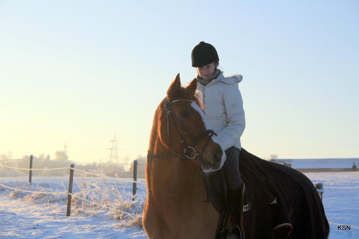 Anden særlig race Power *savnet* billede 15