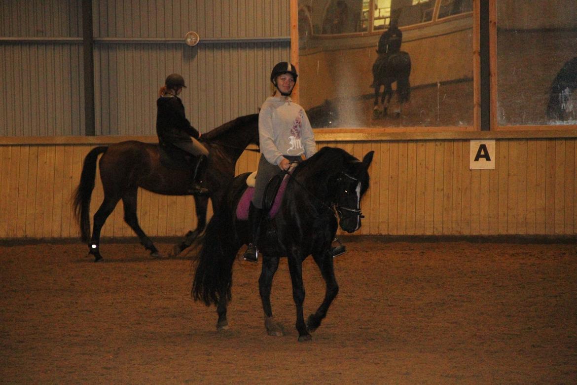 Anden særlig race Monty *Solgt* billede 12