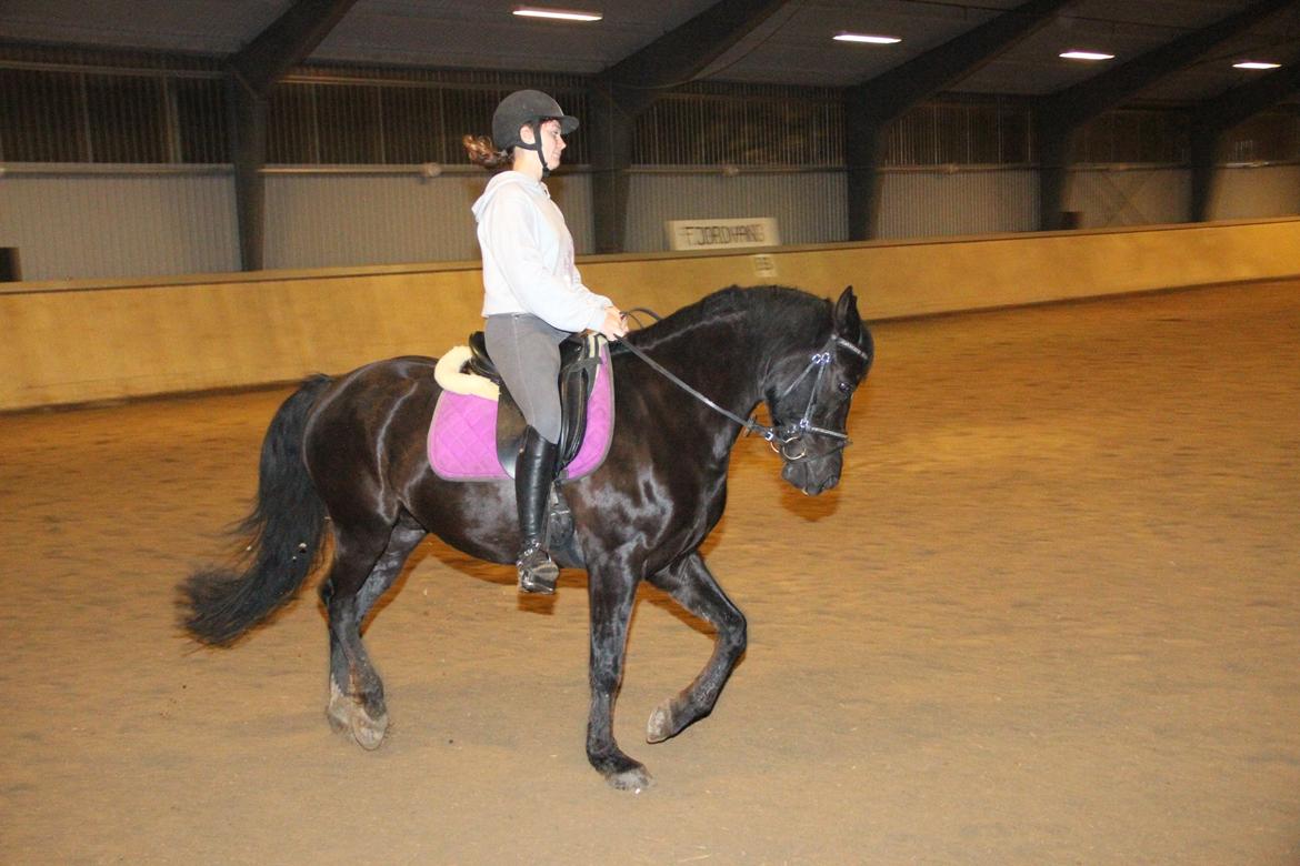 Anden særlig race Monty *Solgt* billede 13