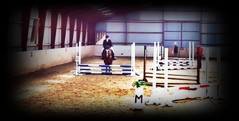 Anden særlig race Beauty - -'Trying to forget someone you love, is like trying to remember someone you never met. billede 17