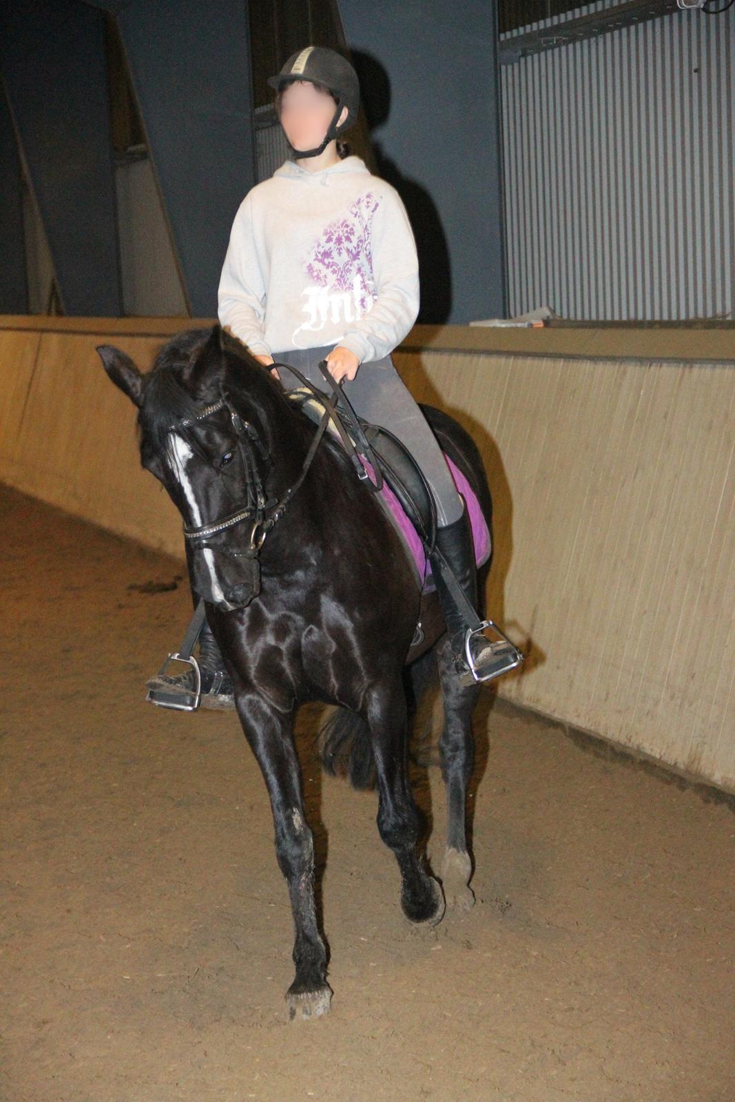 Anden særlig race Monty *Solgt* billede 14