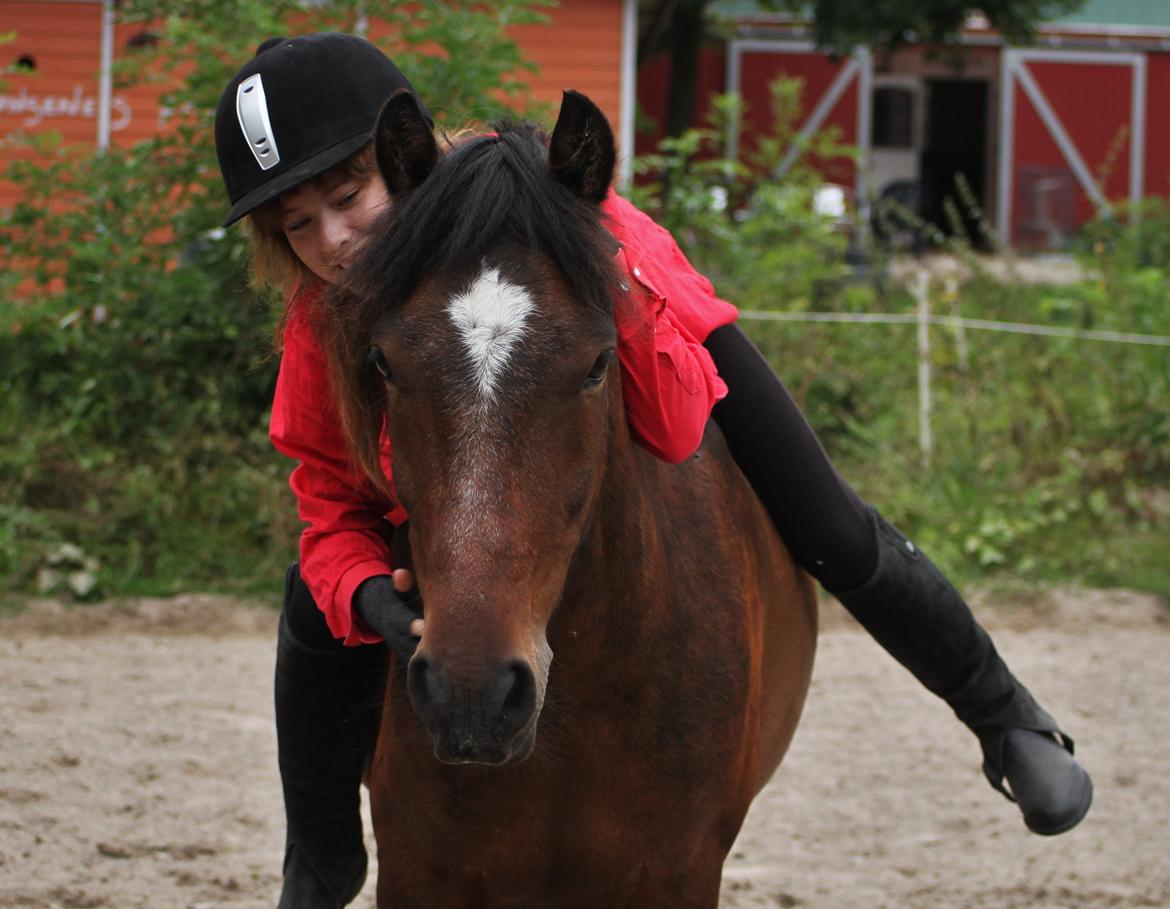 Anden særlig race Tjalfe - I er da søøøøøøde sammen! :-D Rød passer faktisk ret godt til ham x)  billede 13