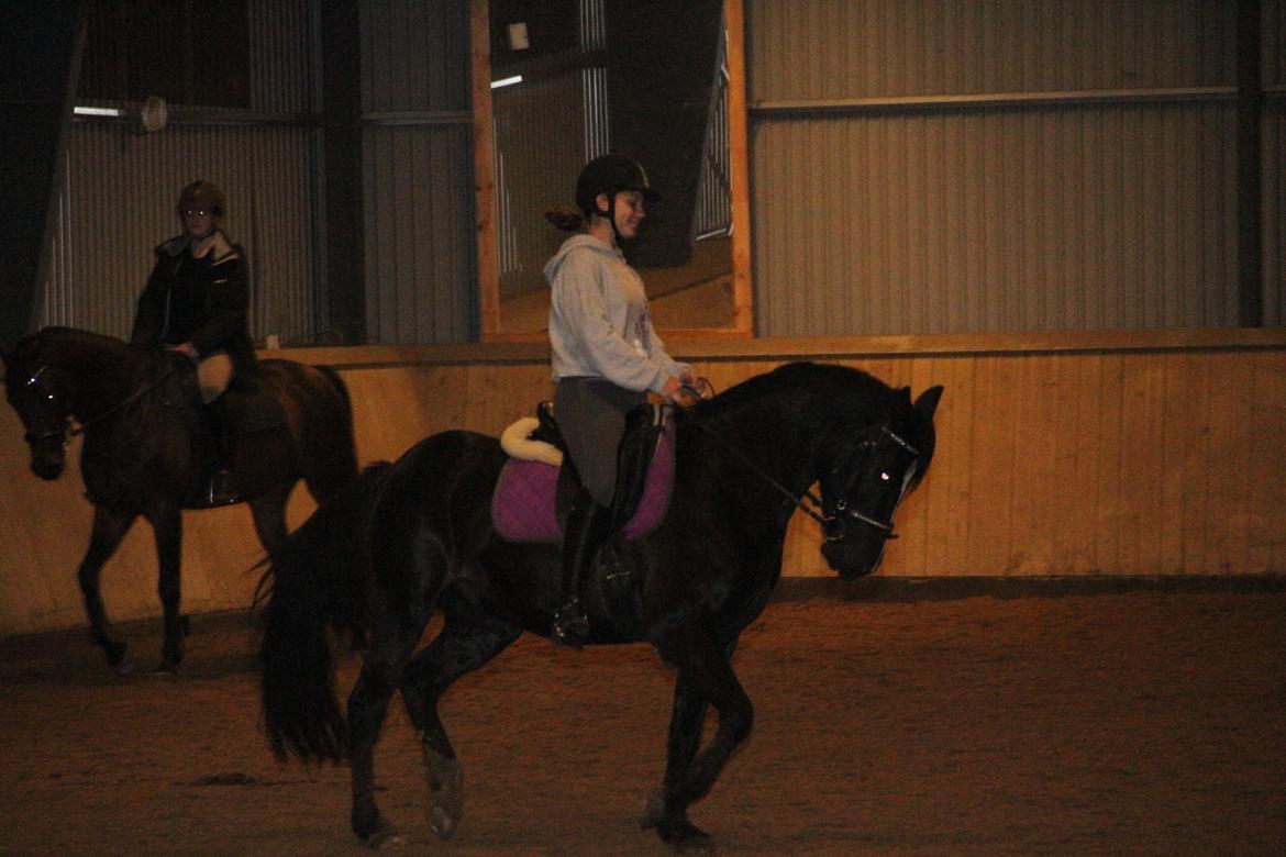 Anden særlig race Monty *Solgt* billede 5