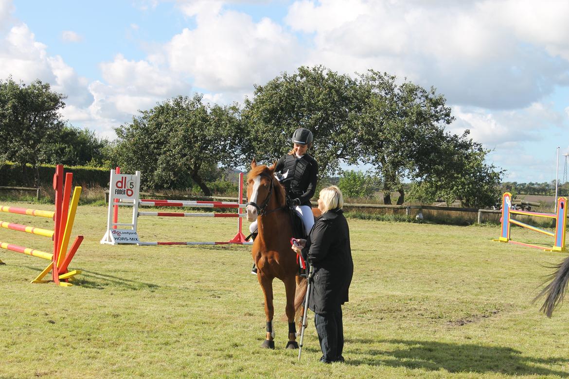 New Forest Remontes Gee-Gee -B-pony - "Remontes Gee-Gee til præmieoverækelse i Nordthy Rideklub hvor vi vinder 1pladsen i Lb** !<3 seeje pony!<3"" billede 4