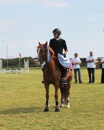 New Forest Remontes Gee-Gee -B-pony - "Remontes Gee-Gee vinder 2pladsen i Lc Cup** på Sydthy Rideklub!<3 Prinser..<33
 billede 19