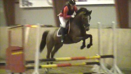 Dansk Varmblod Lyngdalgårds Studina - September 2012
0 fejl i begge sine klasser billede 19