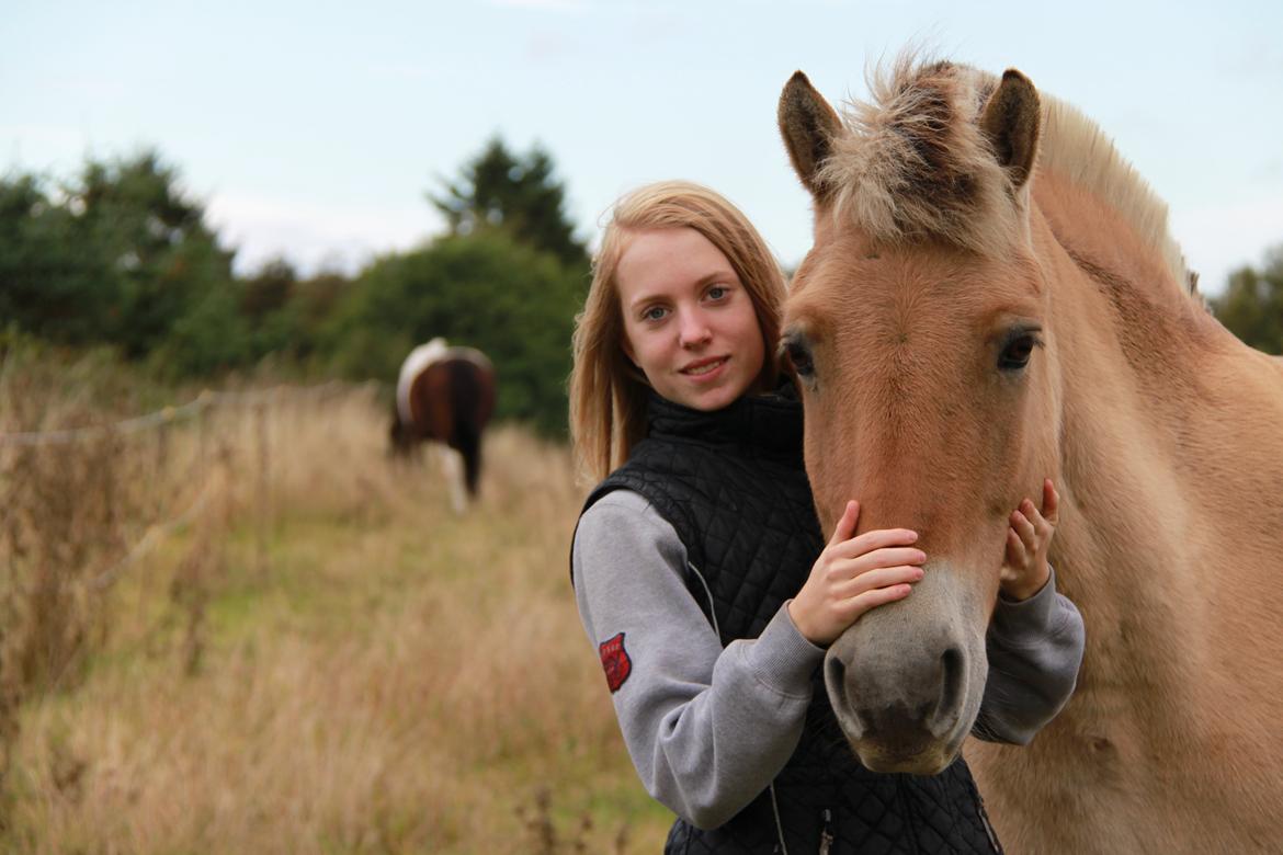 Fjordhest - Fabel Stanstorp - You make me smile <3 :) billede 2