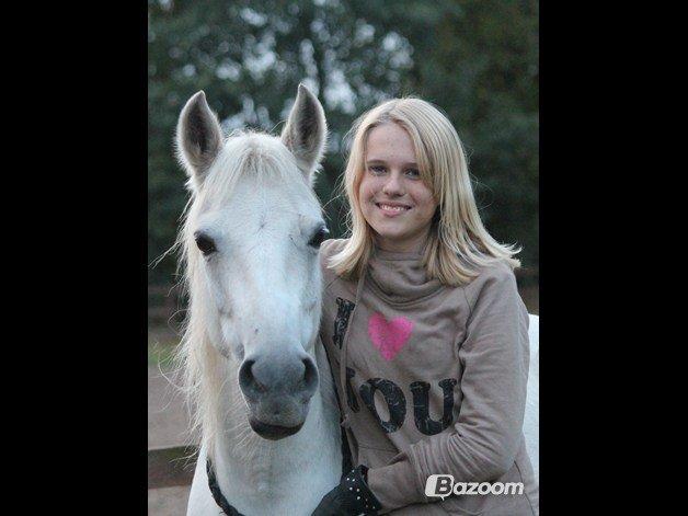 Hollandsk Sportspony Kitty billede 10