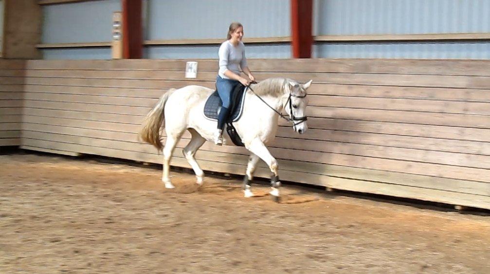 Anden særlig race Marquia - 29. september 2012 - første gang jeg rider Marquia på bane siden år 2007 :) billede 12