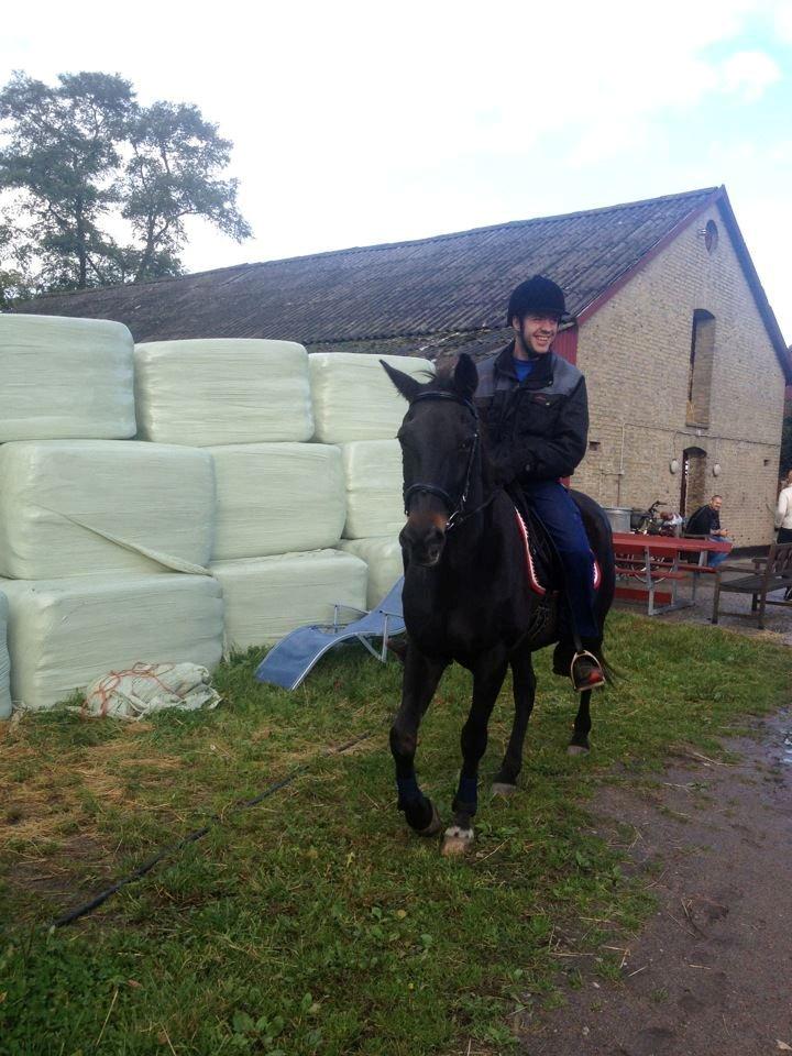 Traver pegasus billede 3