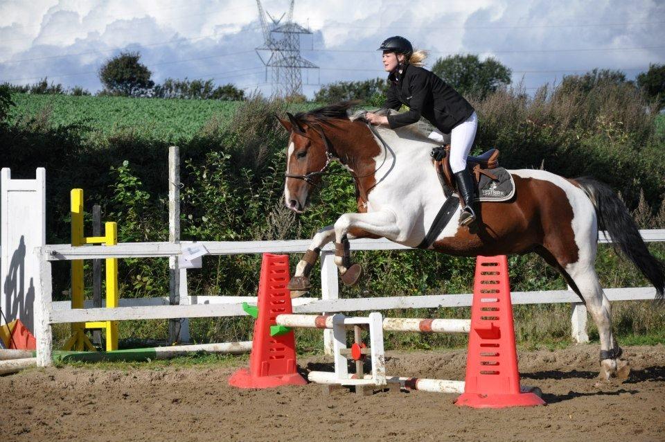 Pinto Shamrocks Jumping Jack Flash/Hoelgaard's Ferrari E - Springstævne i rebgrime - 40 cm. billede 17