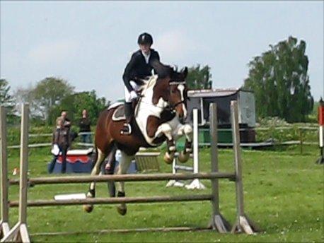 Pinto Shamrocks Jumping Jack Flash/Hoelgaard's Ferrari E - Stævne i Herslev, LD - 2. plads :) billede 9