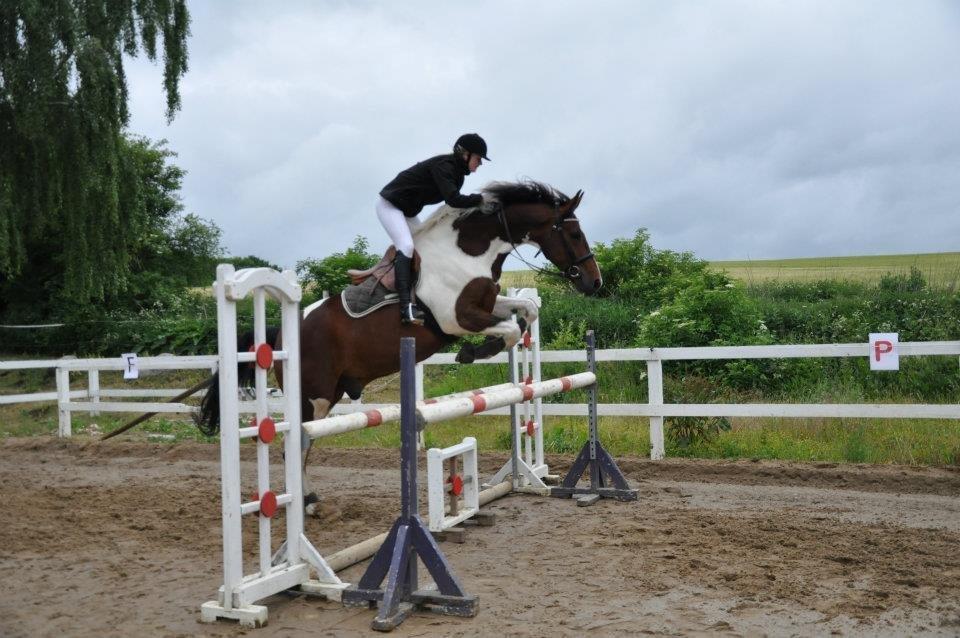 Pinto Shamrocks Jumping Jack Flash/Hoelgaard's Ferrari E - Stævne i TAU, LC billede 13
