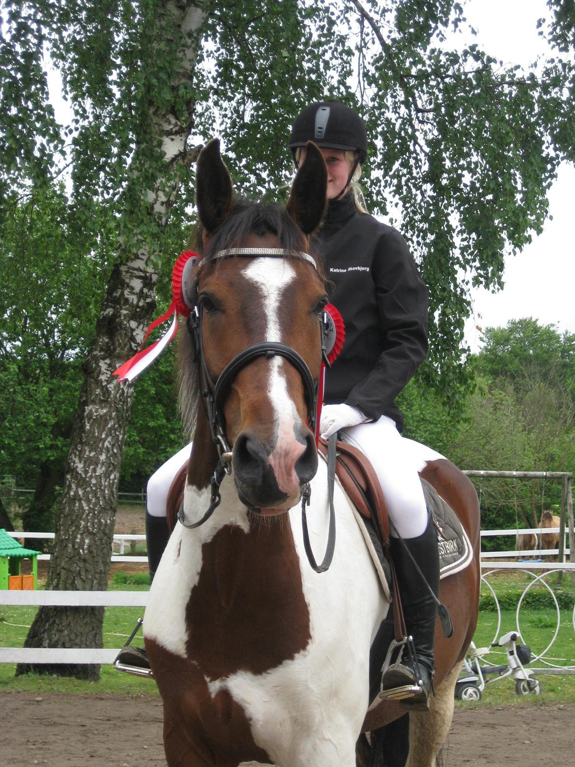 Pinto Shamrocks Jumping Jack Flash/Hoelgaard's Ferrari E - Stævne i TAU, 2 nulrunder = 2 1. pladser :D billede 14