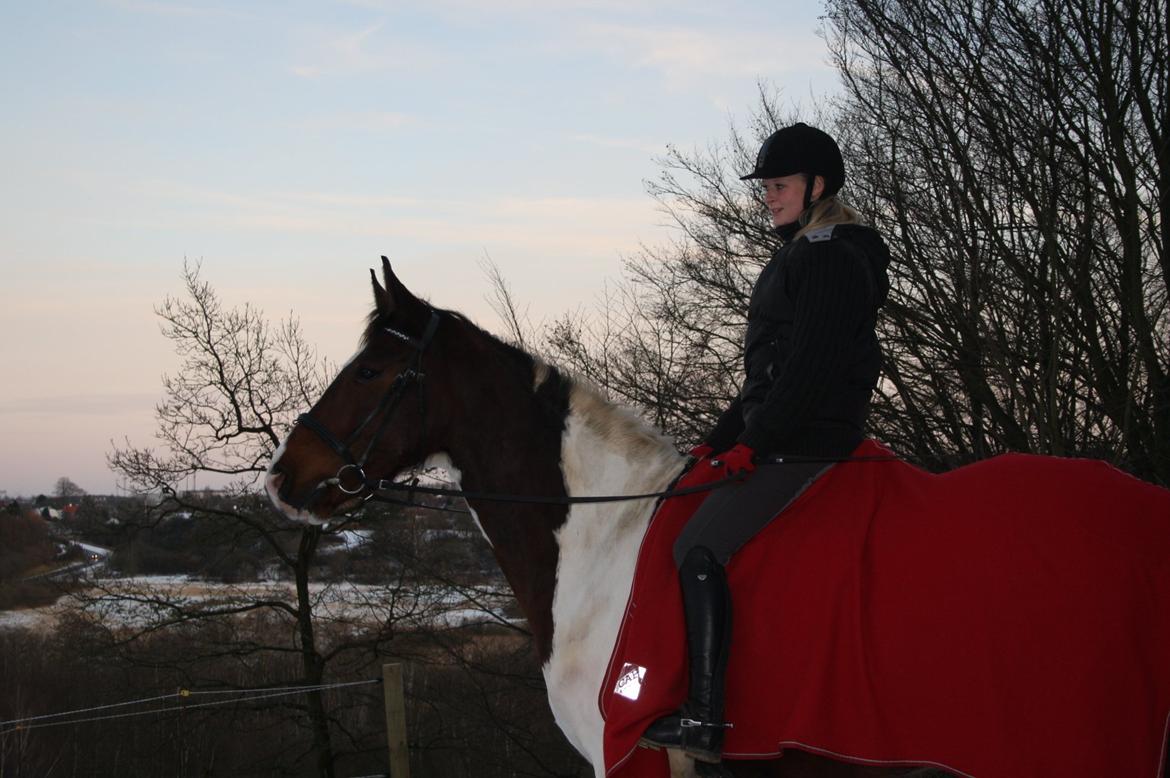 Pinto Shamrocks Jumping Jack Flash/Hoelgaard's Ferrari E - Vinteren 2011 billede 8