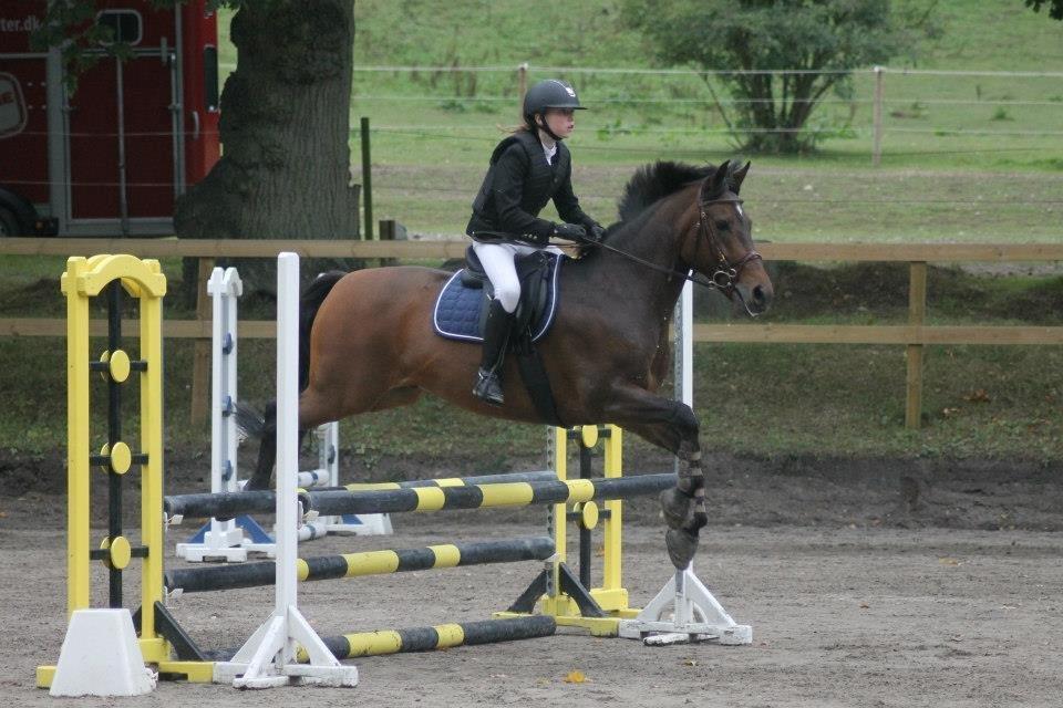 Anden særlig race Sabu billede 9